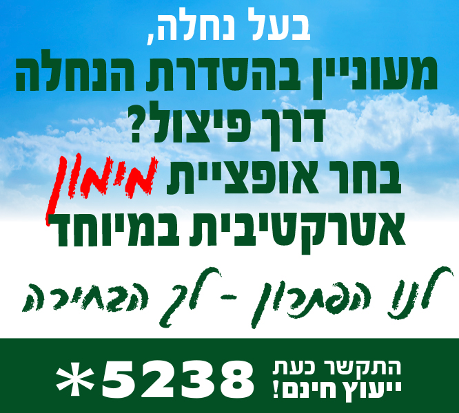 מעוניין בהסדרת הנחלה דרך פיצול?